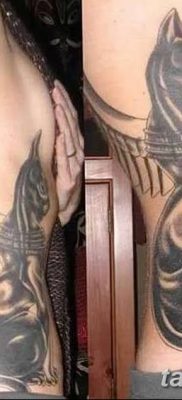 foto af en kattetatovering med vinger dateret 26/06/2018 №006 - Kattetatovering med vinger -