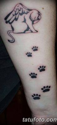 foto af en kattetatovering med vinger dateret 26/06/2018 №011 - Kattetatovering med vinger -