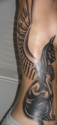 foto af kattetatovering med vinger dateret 26/06/2018 №016 - Kattetatovering med vinger -