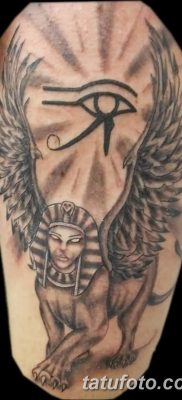 foto af kattetatovering med vinger dateret 26/06/2018 №030 - Kattetatovering med vinger -