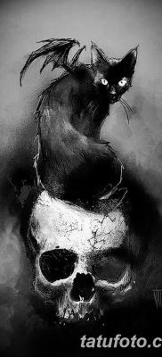 foto af kattetatovering med vinger dateret 26/06/2018 №031 - Kattetatovering med vinger -