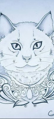 foto af kattetatovering med vinger dateret 26/06/2018 №034 - Kattetatovering med vinger -