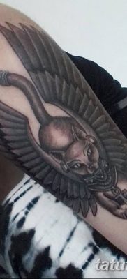 foto af kattetatovering med vinger dateret 26/06/2018 №038 - Kattetatovering med vinger -