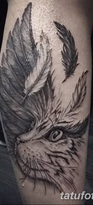 foto af en kattetatovering med vinger dateret 26/06/2018 №042 - Kattetatovering med vinger -