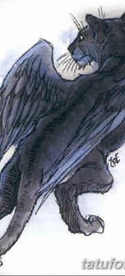 foto af kattetatovering med vinger dateret 26/06/2018 №043 - Kattetatovering med vinger -