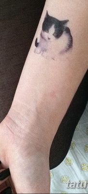 zdjęcie tatuażu kociaka z dnia 22.12.2017 №046 - tatuaż kociak -