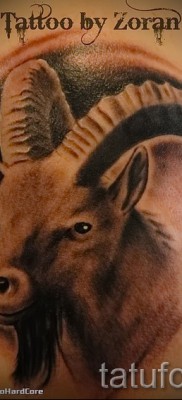 Kecske tetoválás - fotó a kész tetoválásról 10012016 48