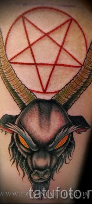 Kecske tetoválás - fotó a kész tetoválásról 10012016 33