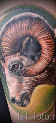 Kecske tetoválás - fotó a kész tetoválásról 10012016 -ból 25