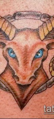 Fotó a Bak tetoválásról (jelentése) - egy példa egy érdekes tetoválási tervre - 011