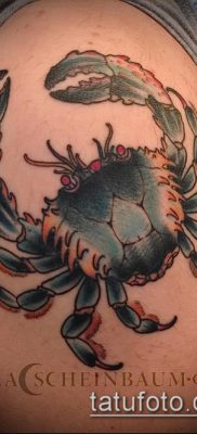 fénykép egy rák (rák) tetoválásról (érték) - egy példa egy érdekes tetoválásra - 065