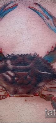 fénykép egy rák (rák) tetoválásról (érték) - példa egy érdekes tetoválási rajzra - 063