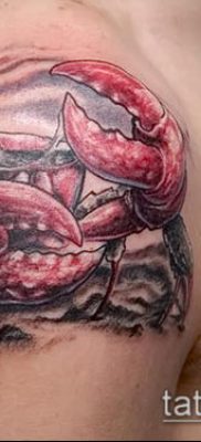 fénykép egy rák (rák) tetoválásról (érték) - egy példa egy érdekes tetoválási tervre - 050