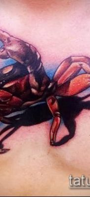 fénykép egy rák (rák) tetoválásról (érték) - egy példa egy érdekes tetoválásra - 024
