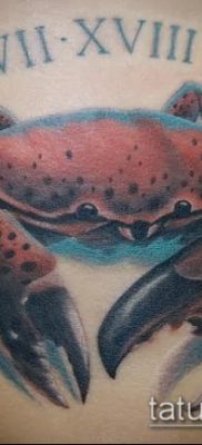 fénykép egy rák (rák) tetoválásról (érték) - egy példa egy érdekes tetoválásra - 018