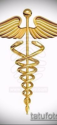 Fotó a Hermes tetováló szárnyairól - 06072017 - példa - 035 Hermes tetoválószárnyai