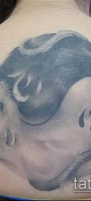 rotte tatoveringsfoto (værdi) - et eksempel på en interessant tatoveringstegning - 042