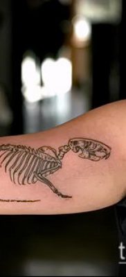 rotte tatoveringsfoto (værdi) - et eksempel på en interessant tatoveringstegning - 040