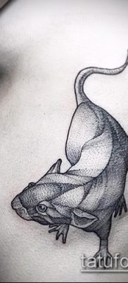 rotte tatoveringsfoto (betydning) - et eksempel på en interessant tatoveringstegning - 038