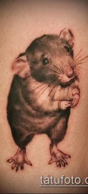 rotte tatoveringsfoto (betydning) - et eksempel på en interessant tatoveringstegning - 034