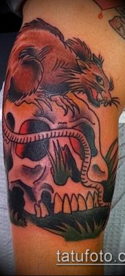 rotte tatoveringsfoto (værdi) - et eksempel på en interessant tatoveringstegning - 032