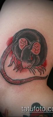 rotte tatoveringsfoto (betydning) - et eksempel på en interessant tatoveringstegning - 028