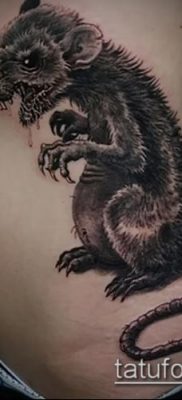 rotte tatoveringsfoto (betydning) - et eksempel på en interessant tatoveringstegning - 027