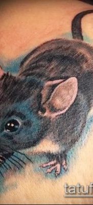 rotte tatoveringsfoto (betydning) - et eksempel på en interessant tatoveringstegning - 024