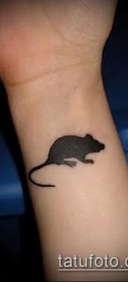 rotte tatoveringsfoto (værdi) - et eksempel på en interessant tatoveringstegning - 020