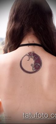 rotte tatoveringsfoto (værdi) - et eksempel på en interessant tatoveringstegning - 019