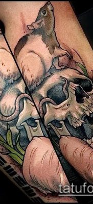 rotte tatoveringsfoto (værdi) - et eksempel på en interessant tatoveringstegning - 016