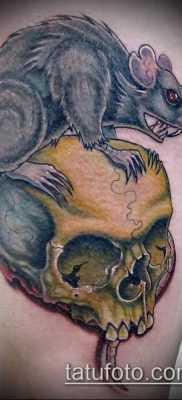 rotte tatoveringsfoto (værdi) - et eksempel på en interessant tatoveringstegning - 015