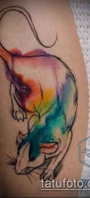 rotte tatoveringsfoto (betydning) - et eksempel på en interessant tatoveringstegning - 014