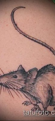 rotte tatoveringsfoto (værdi) - et eksempel på en interessant tatoveringstegning - 013