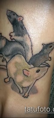 rotte tatoveringsfoto (værdi) - et eksempel på en interessant tatoveringstegning - 001