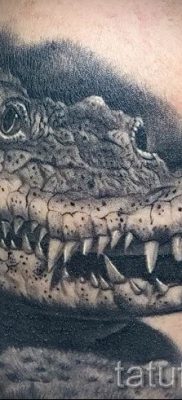 Krokodil tetoválás fotója egy cikkhez a krokodil tetoválás jelentéséről - tatufoto.ru - 48