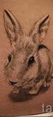 Снимка на заешка татуировка в долната част на гърба - женска татуировка