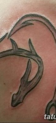 Fotó Tetoválóhorog 2018.08.24. №117 - Tetoválóhorog -