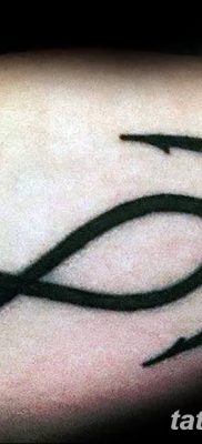 Fotó Tetoválóhorog 2018.08.24. №049 - Tetoválóhorog -