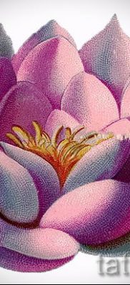 fotó a tavirózsa tetoválásról egy cikkhez a tavirózsa tetoválás jelentésével - tatufoto.ru - 21