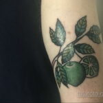 صورة لوشم لايم 03/31/2021 №239 - وشم لايم -