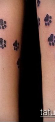 fotó TATTOO PAW (tetoválás) (érték) - példa rajz - 126