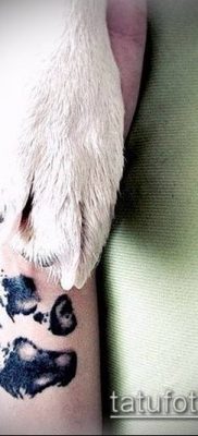 fotó TETTAO PAW (tetoválás) (érték) - példa rajz - 130