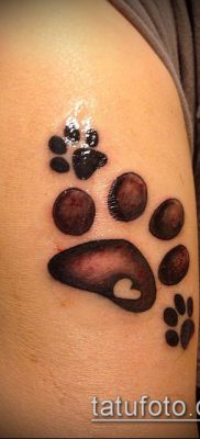 fotó TETTAO PAW (tetoválás) (érték) - példa rajz - 131