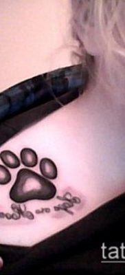 PAW TATTOO No. 663 - a rajz méltó változata, amely sikeresen használható feldolgozásra és tetováló panda mancsaként való alkalmazására