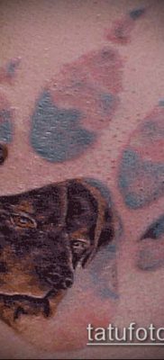 PAW TATTOO No. 454 - a minta exkluzív változata, amely könnyen használható változtatásra és alkalmazásra oroszlán mancs tetoválásként