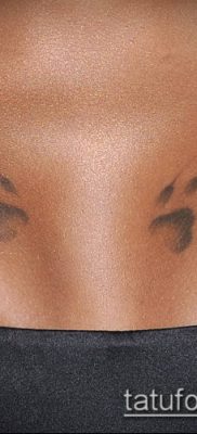 fotó TETTAO PAW (tetoválás) (érték) - példa rajz - 001