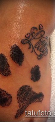 fotó TATTOO PAW (tetoválás) (érték) - példa rajz - 016