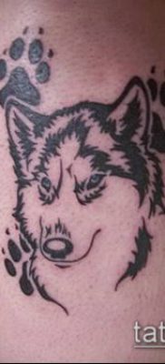 fotó TETTAO PAW (tetoválás) (érték) - példa rajz - 019