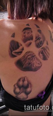 fotó TETTAO PAW (tetoválás) (érték) - példa rajz - 038